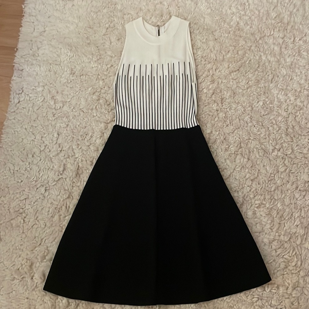 Milly Dress